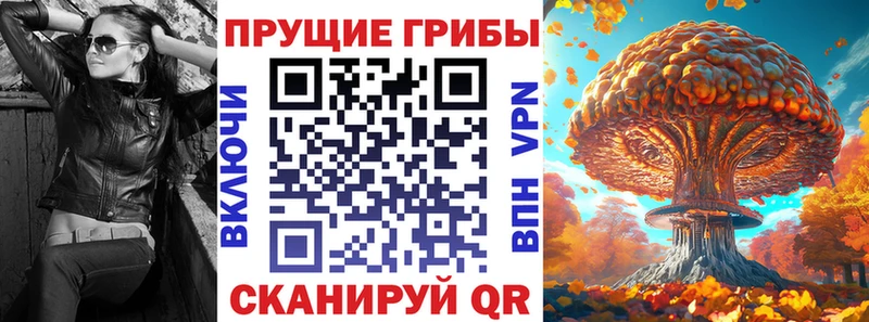 Галлюциногенные грибы Psilocybine cubensis  Купить  Новомосковск 